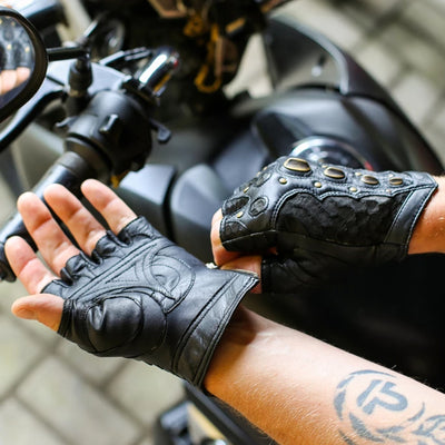 Dragon Riders | Dragon Riders Gloves | Best Dragon Riders Gloves